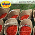 Baies de Goji séchées Ningxia Super Fruit (Lycium barbarum)